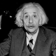 Einstein in 1946, a few years before he typed out his thoughts on animal physics.